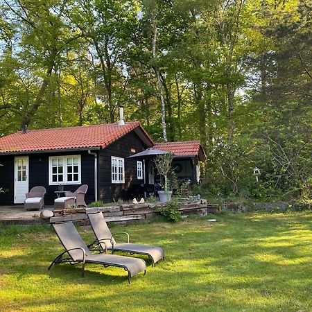 De Springop Villa Eefde Buitenkant foto