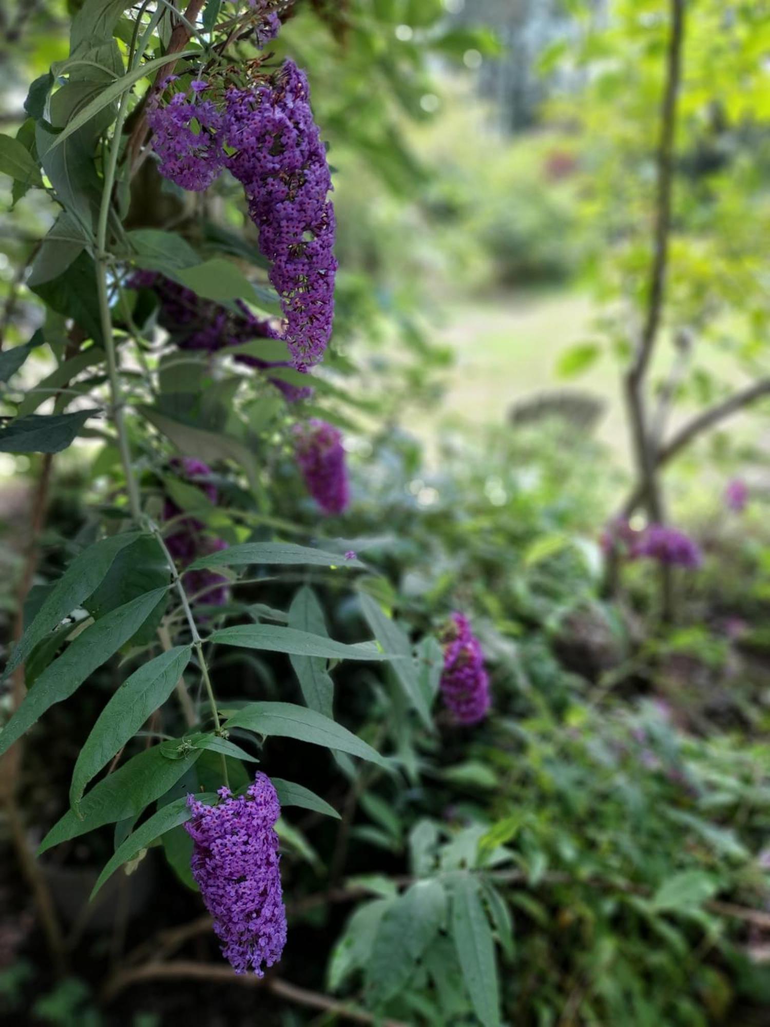 De Springop Villa Eefde Buitenkant foto