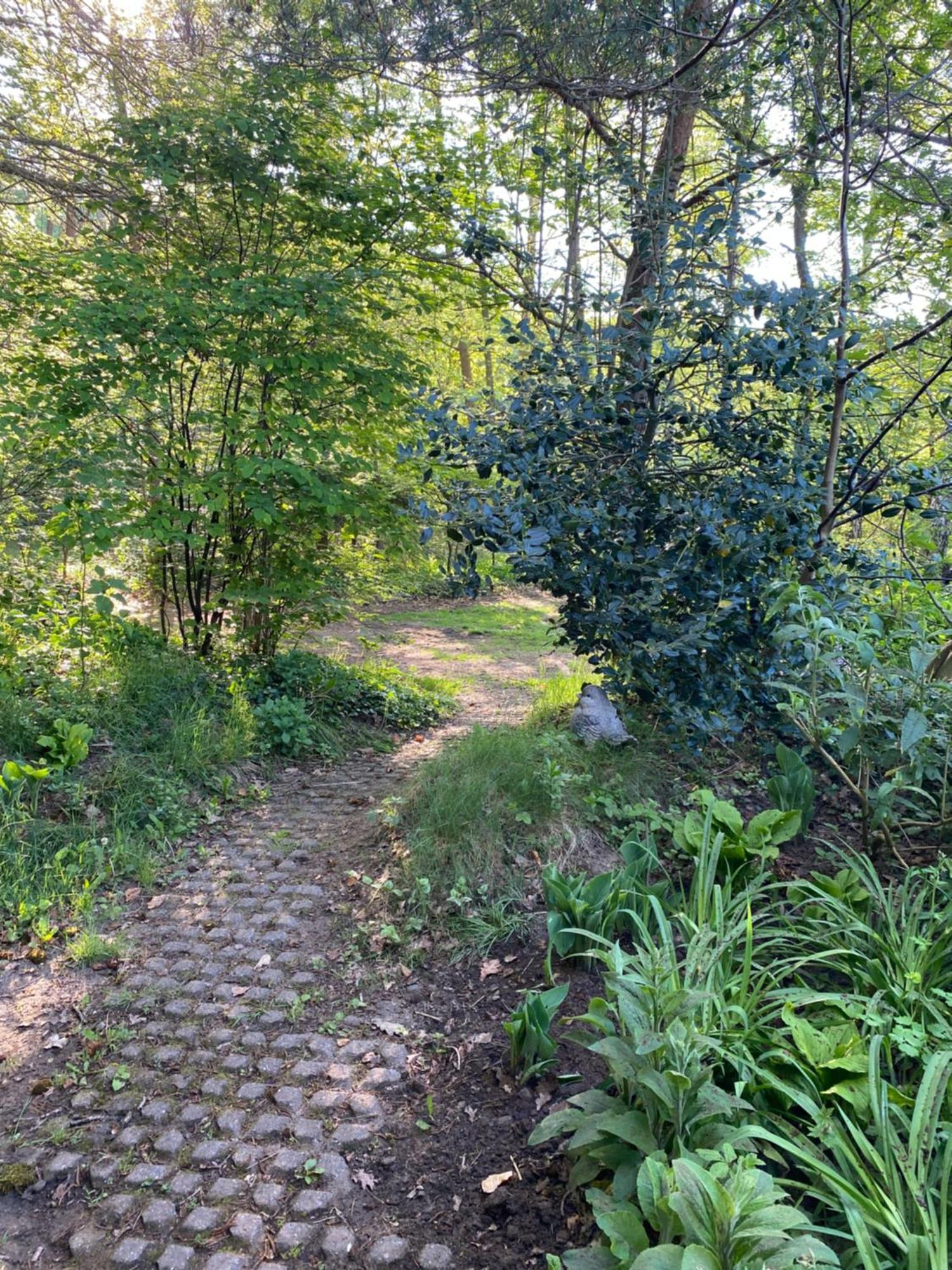 De Springop Villa Eefde Buitenkant foto